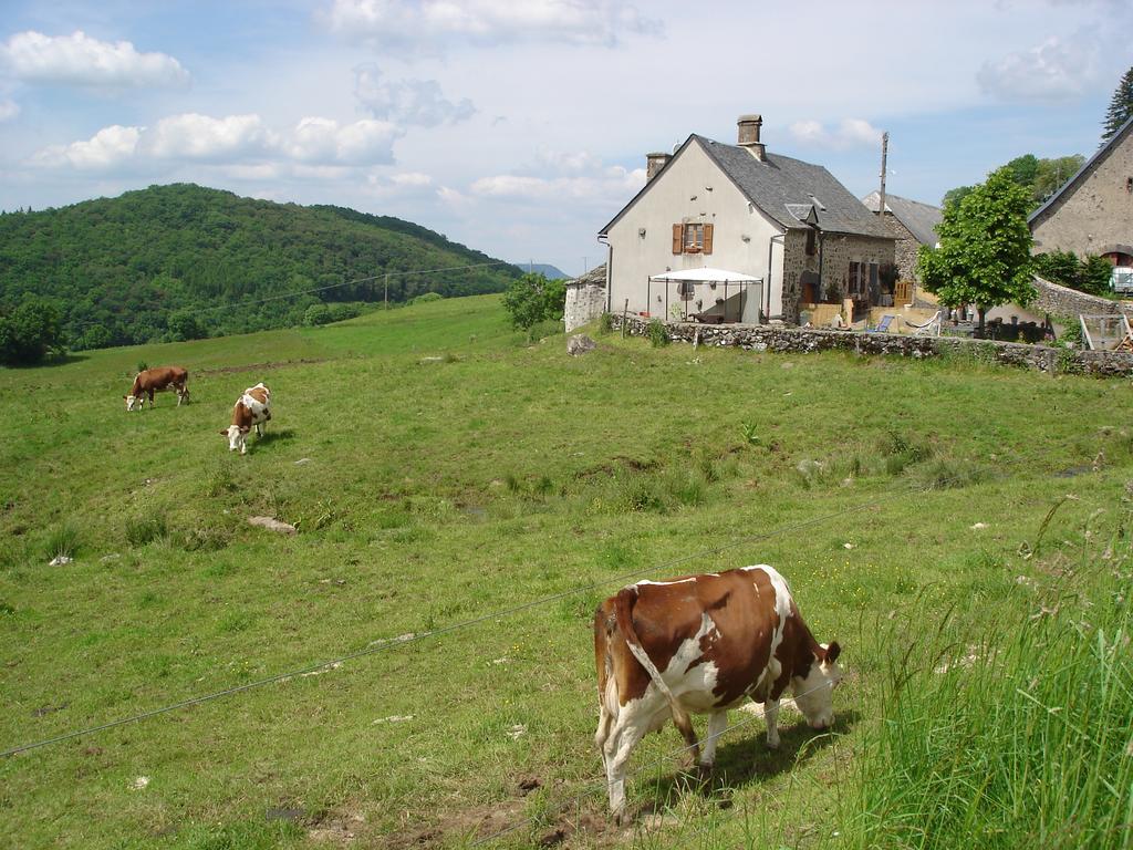 Chez Marraine Vila Sauvat Exterior foto